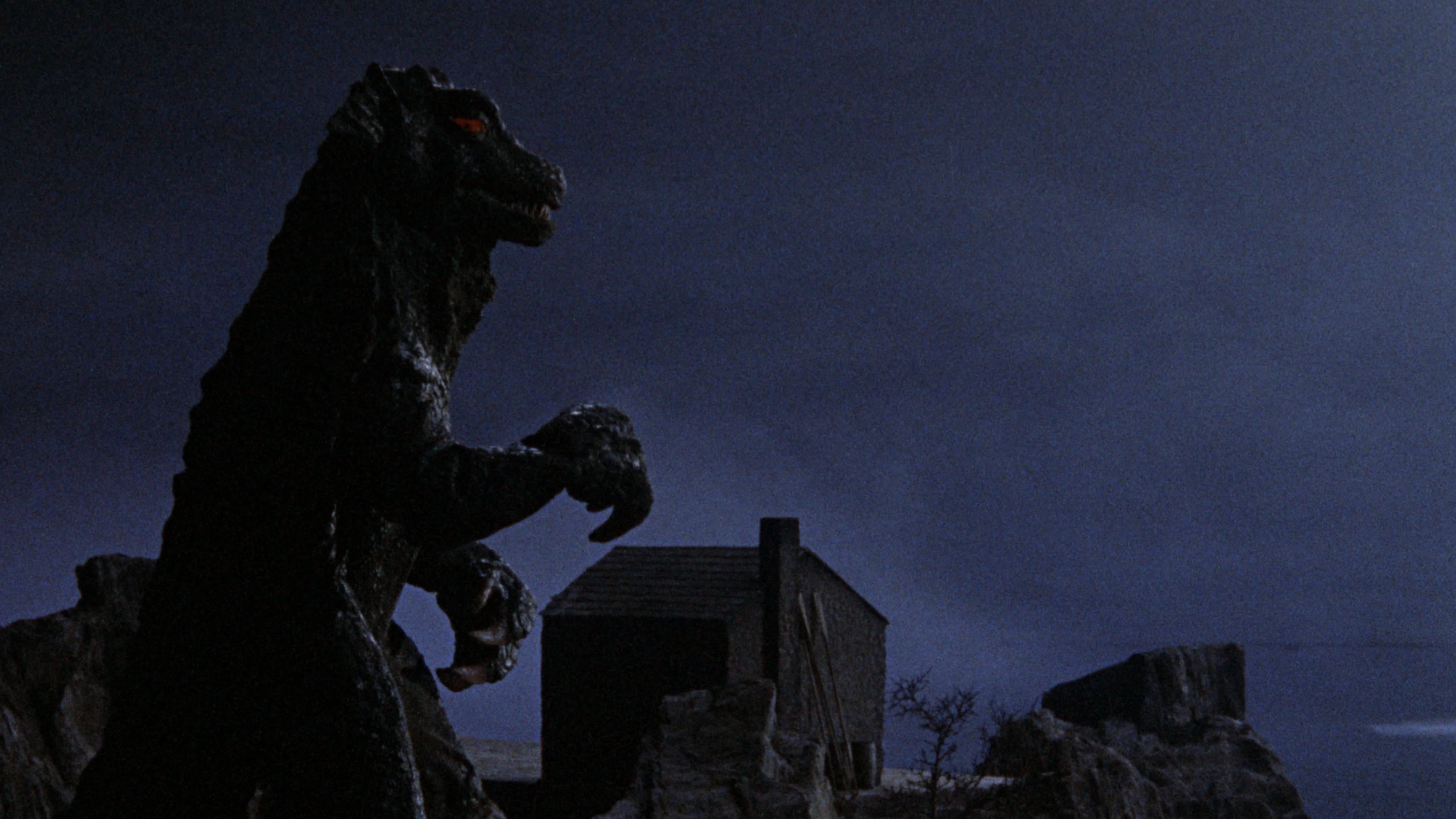 Gorgo