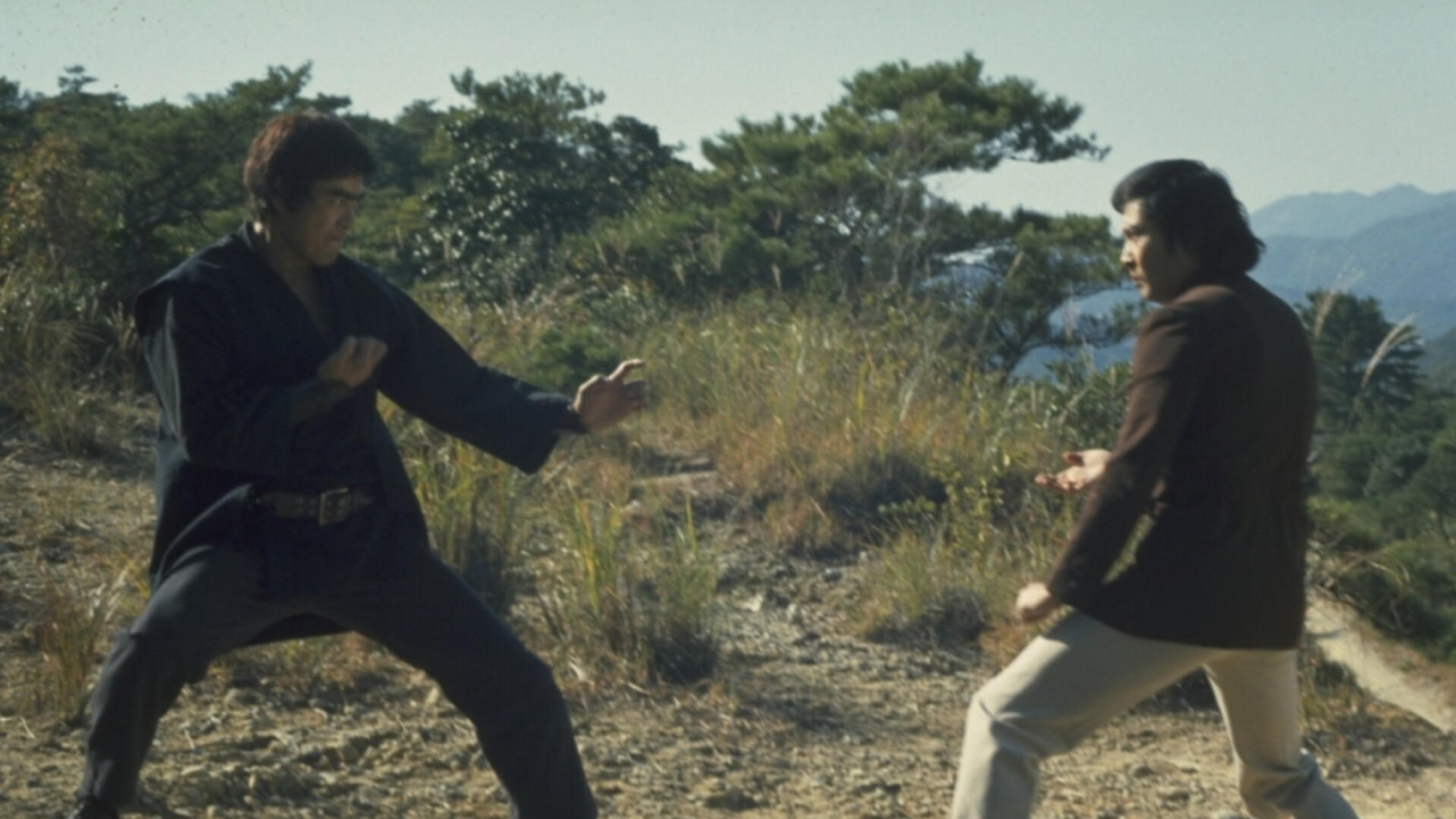 The Street Fighters Last Revenge