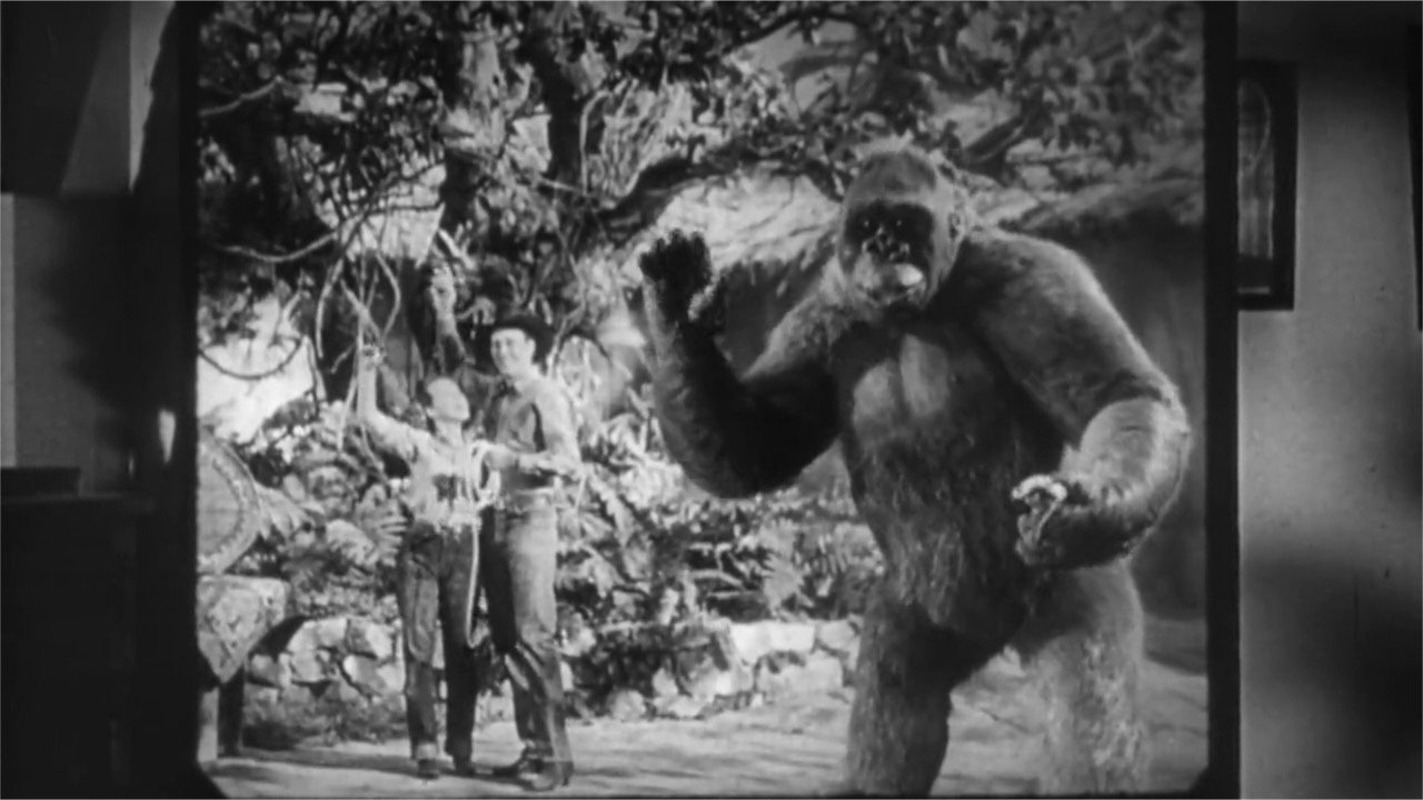 Panik um King Kong