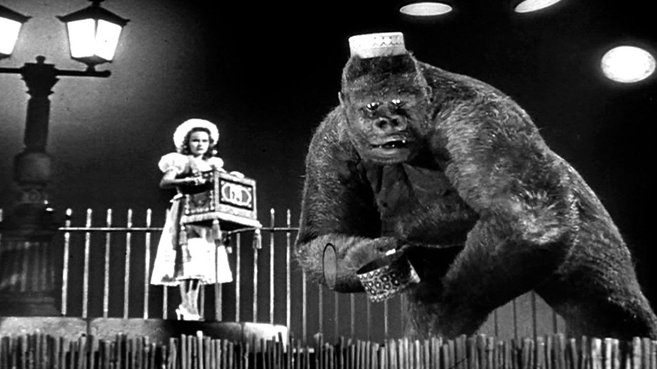 Panik um King Kong