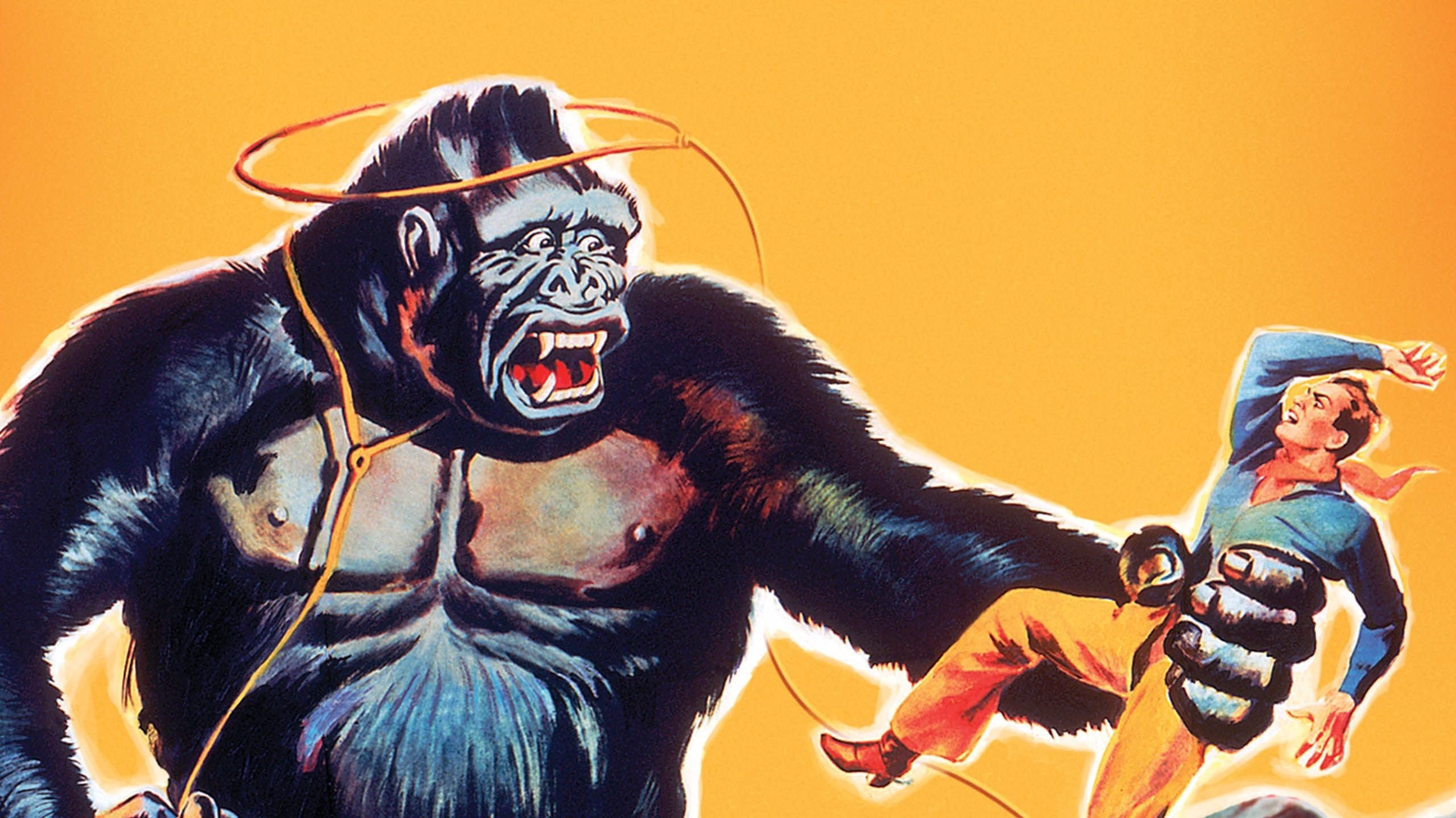 Panik um King Kong