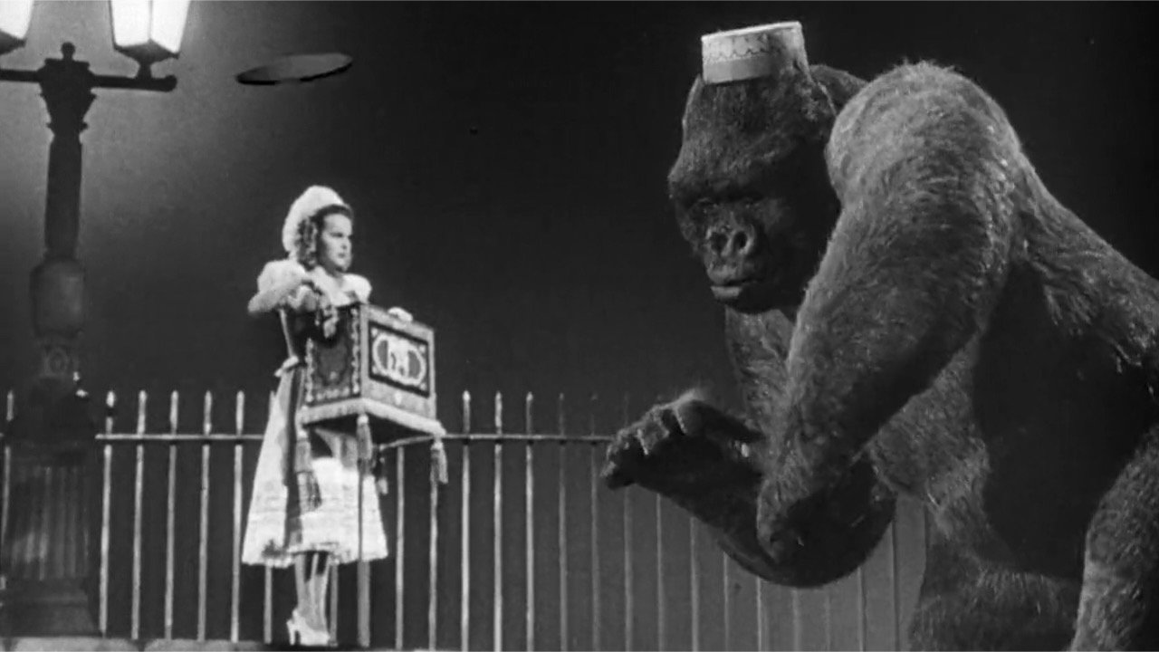 Panik um King Kong