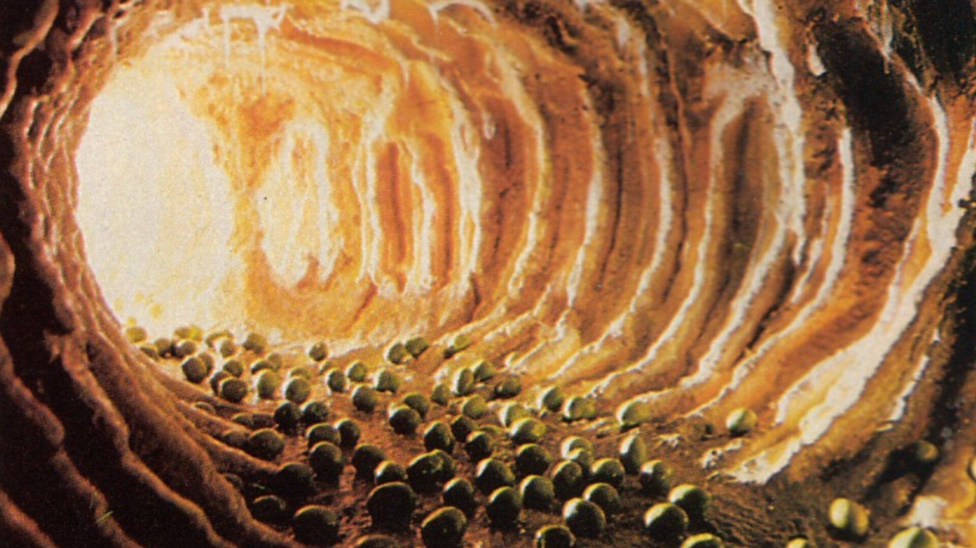 Astaron - Brut des Schreckens