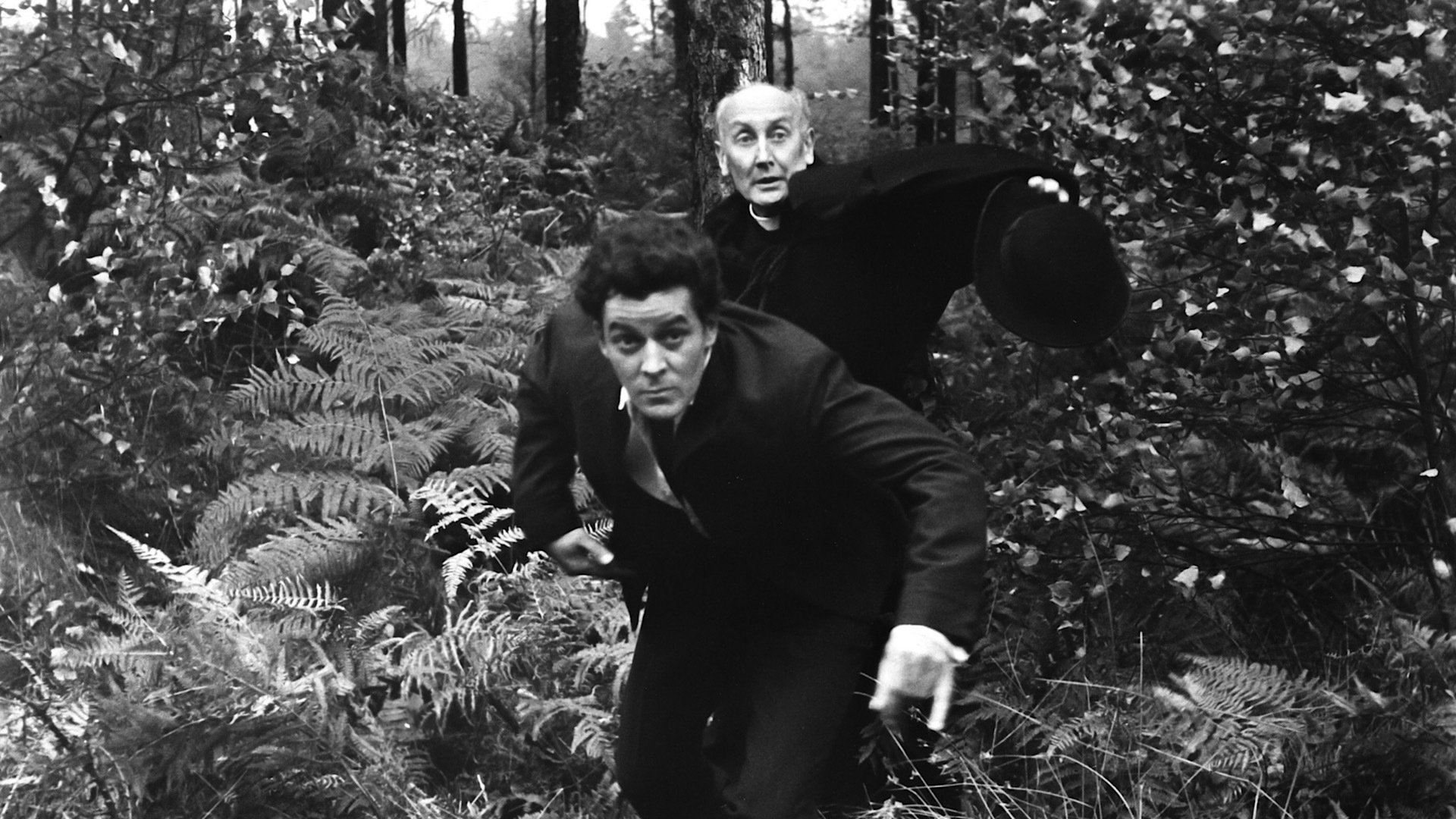Der Kuss des Vampirs