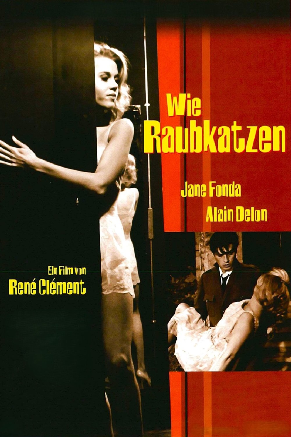 Wie Raubkatzen