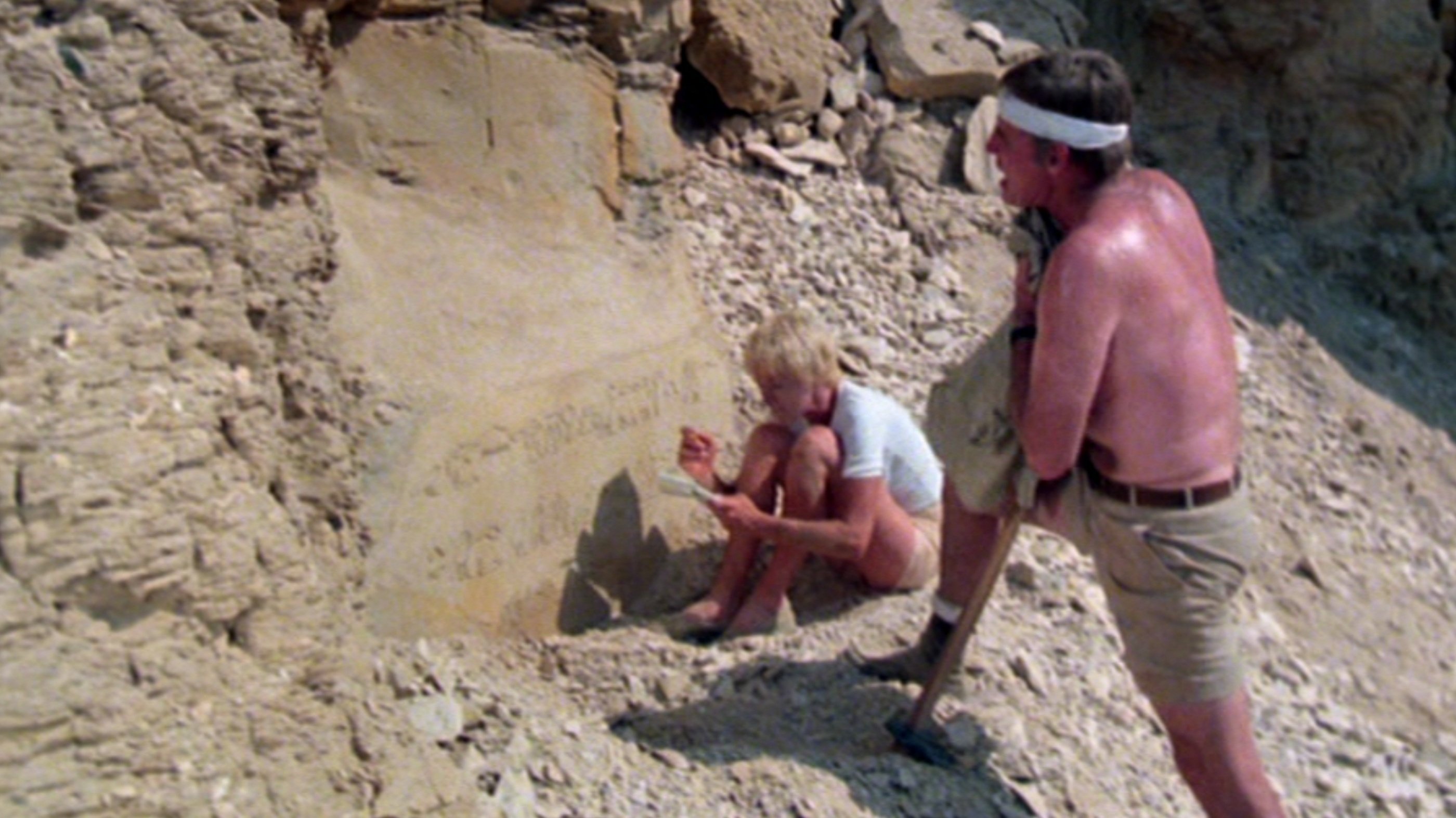 Das Erwachen der Sphinx