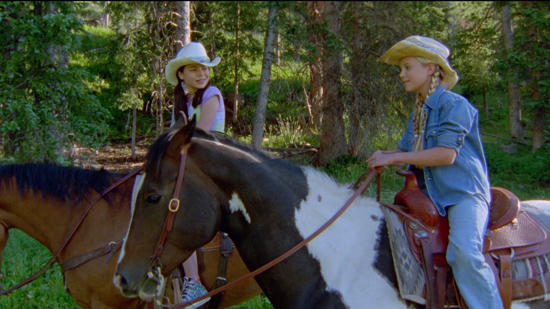 Das Geheimnis des wilden Mustangs
