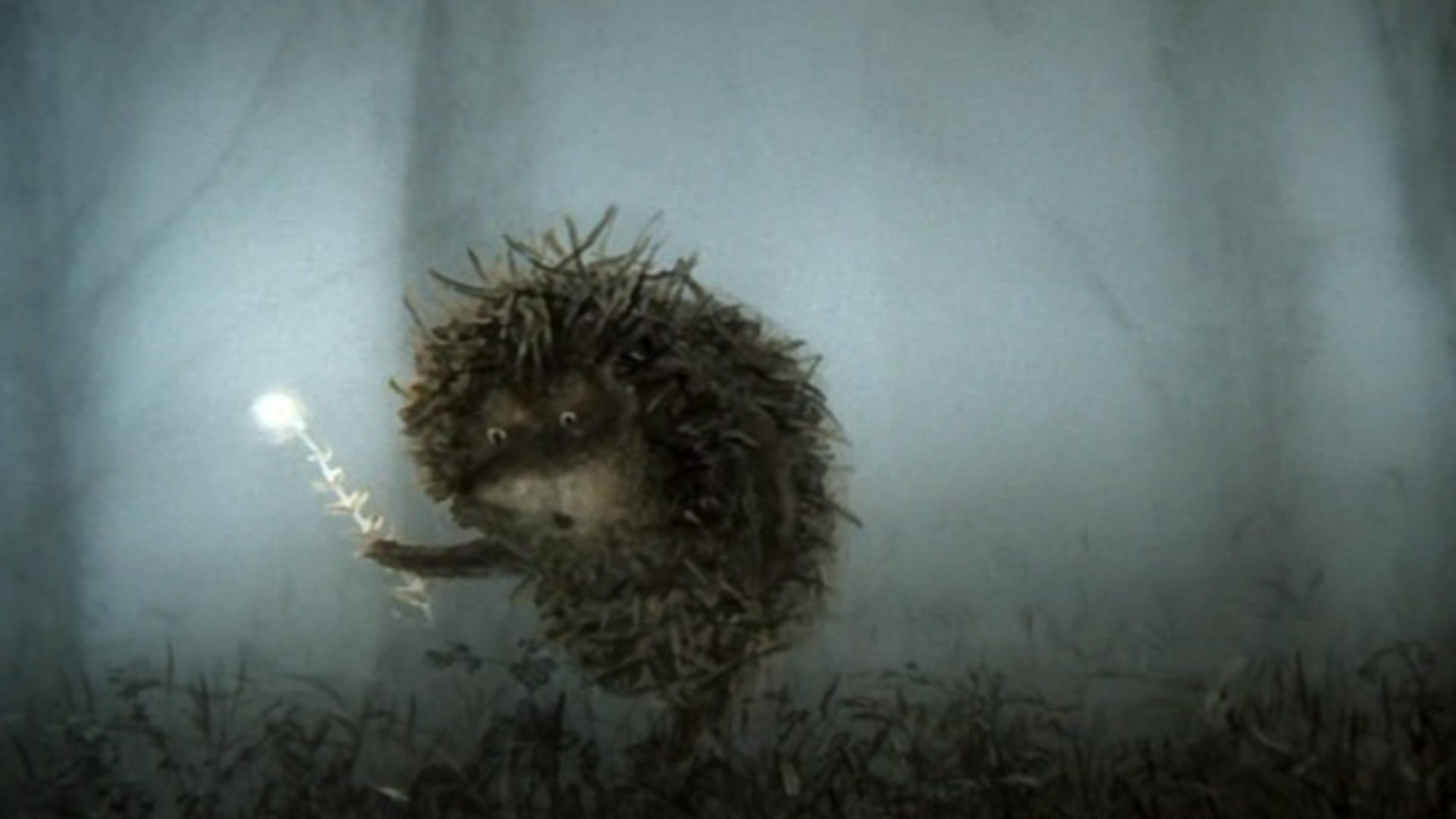 Der Igel im Nebel