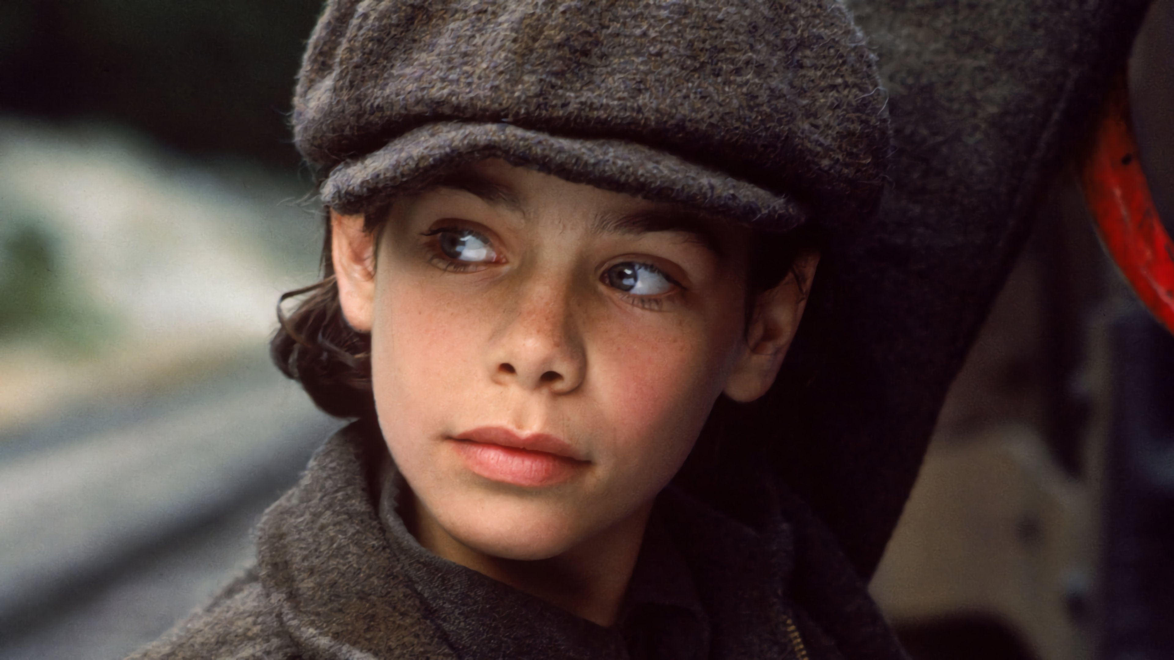 Die Abenteuer der Natty Gann