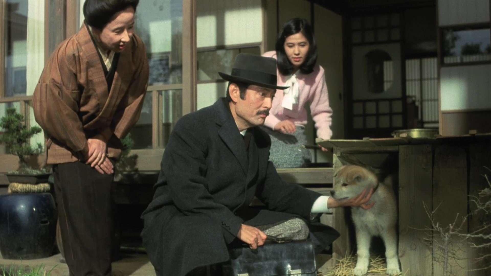 Hachiko - Wahre Freundschaft währt ewig