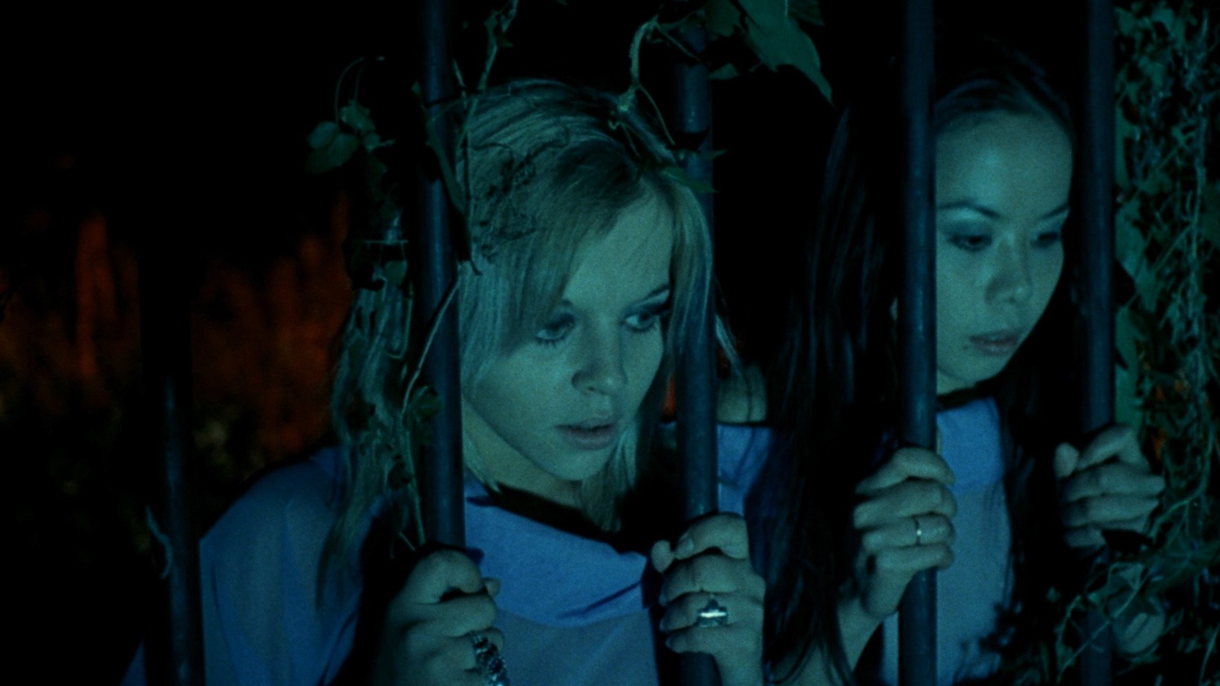 Sexual-Terror der entfesselten Vampire
