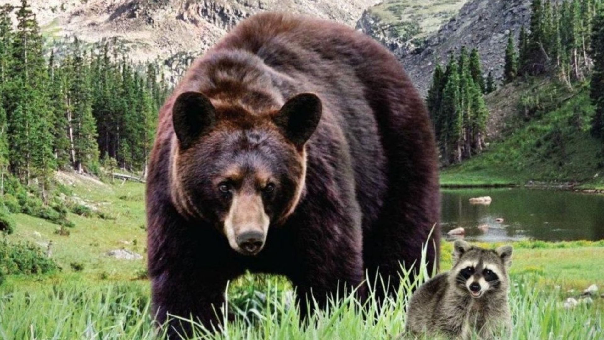 Die Abenteuer der Familie Robinson in der Wildnis