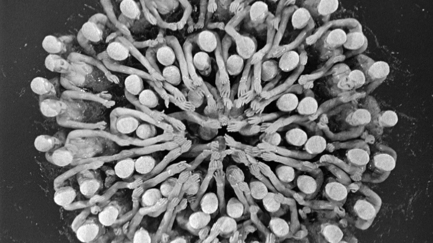 Parade im Rampenlicht