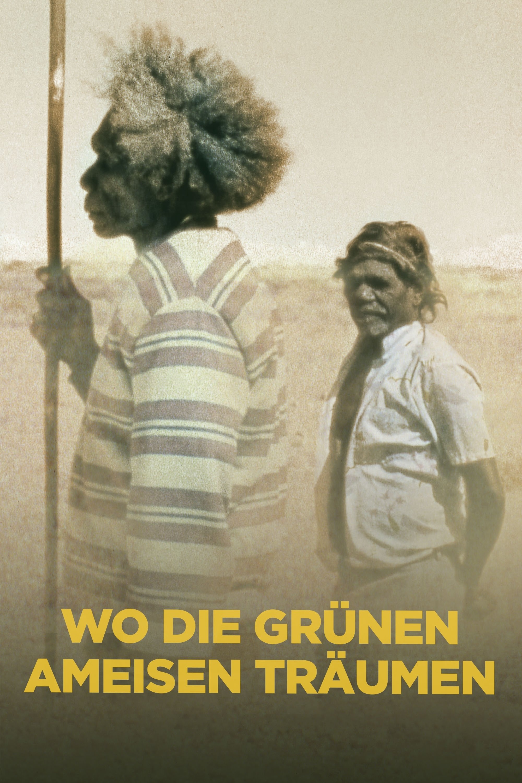 Wo die grünen Ameisen träumen