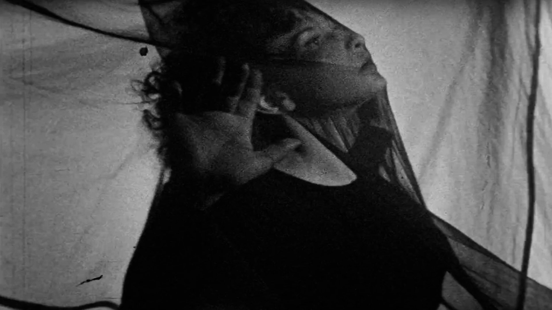 Meshes of the Afternoon