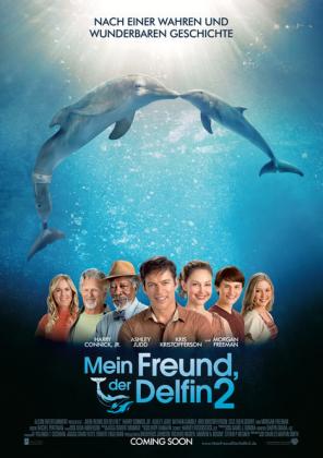 Filmbeschreibung zu Dolphin Tale 2