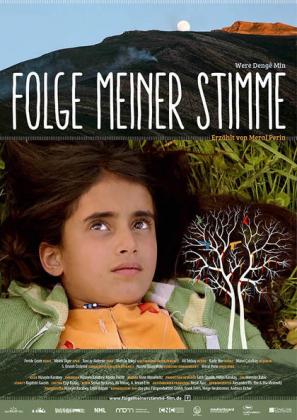 Filmbeschreibung zu Folge meiner Stimme