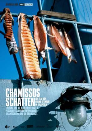 Chamissos Schatten: Kapitel 2 Teil 1 - Tschukotka und die Wrangelinsel