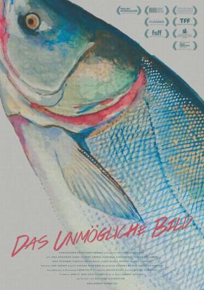 Filmbeschreibung zu Das unm?gliche Bild