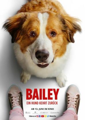 Filmbeschreibung zu Bailey - Ein Hund kehrt zur?ck