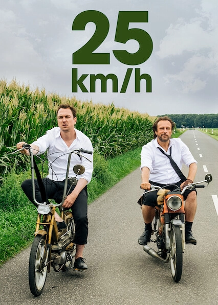 25 km/h