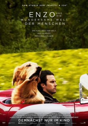 Filmbeschreibung zu The Art of Racing in the Rain