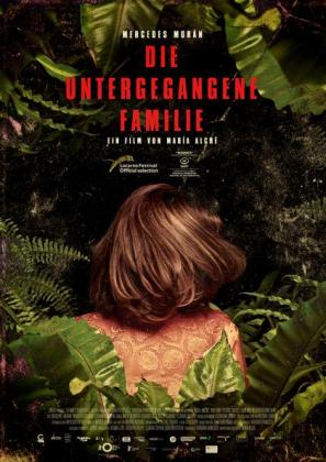 Filmbeschreibung zu Die untergegangene Familie