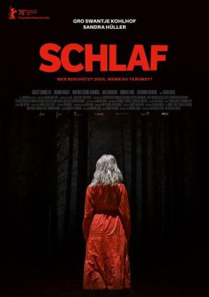 Filmbeschreibung zu Schlaf