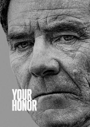 Filmbeschreibung zu Your Honor - Staffel 1