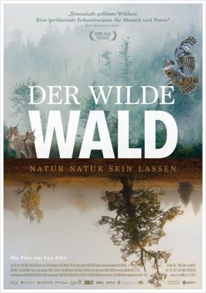 Filmbeschreibung zu Der wilde Wald - Natur sein lassen
