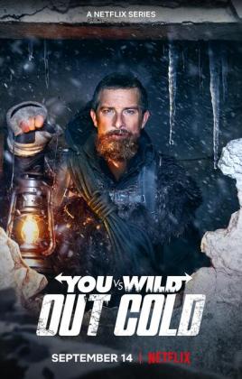Filmbeschreibung zu Du gegen die Wildnis: Abgest?rzt - Staffel 1