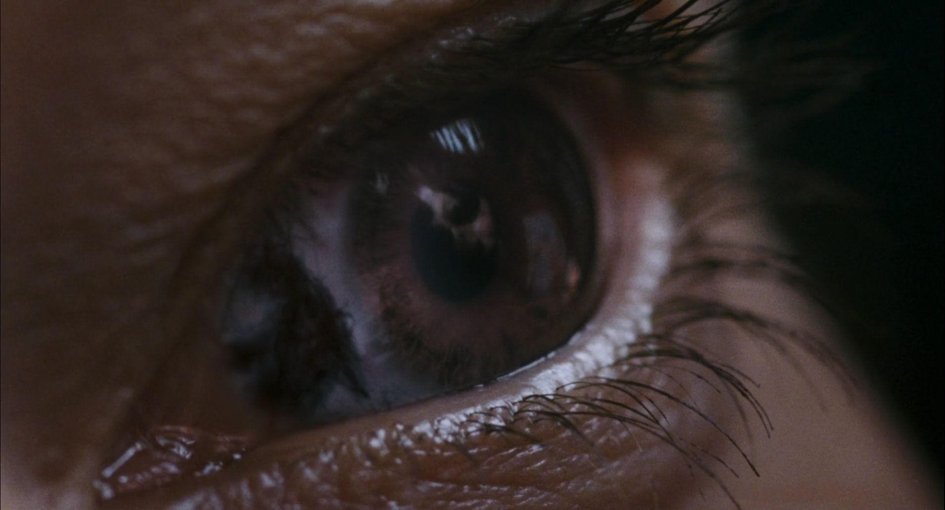 28 Weeks Later