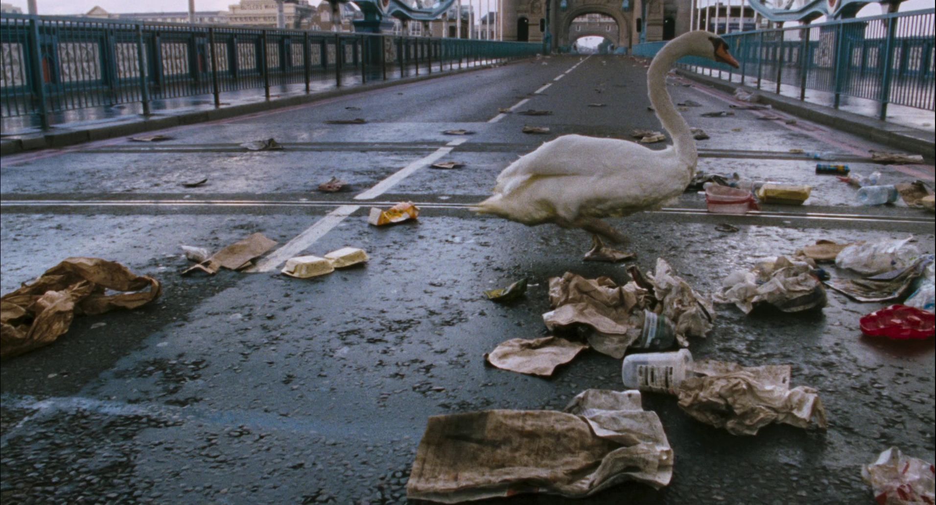 28 Weeks Later