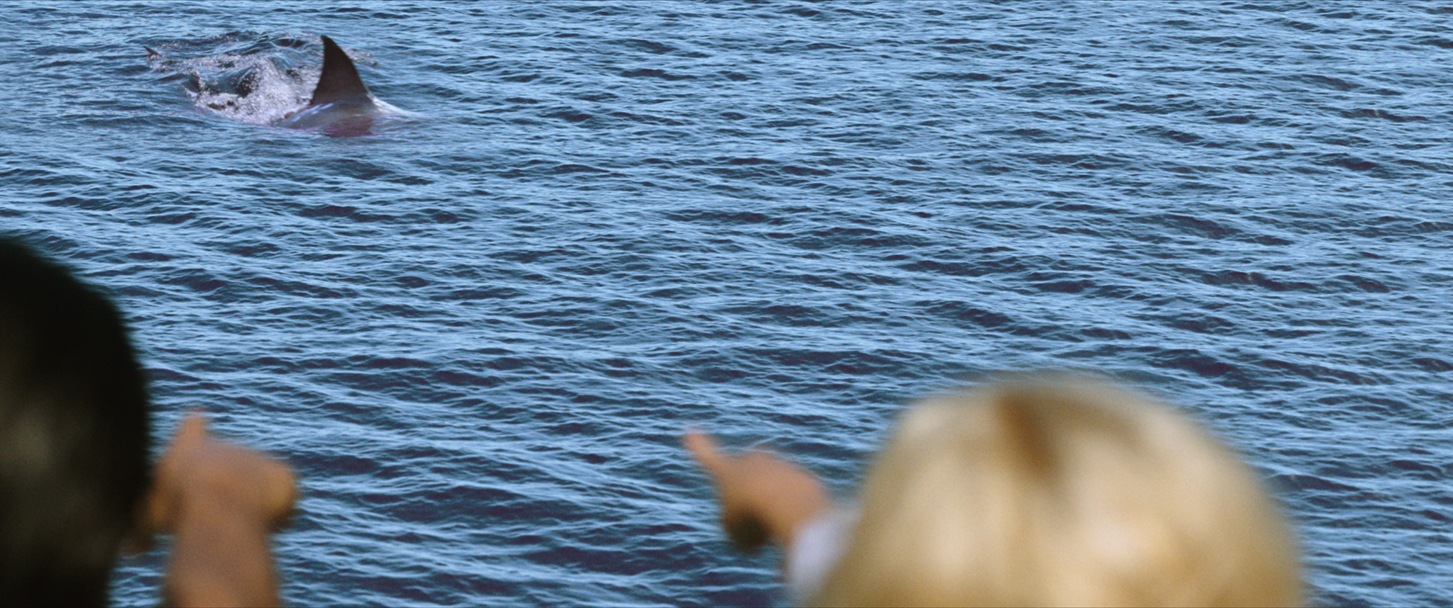 47 Meters Down