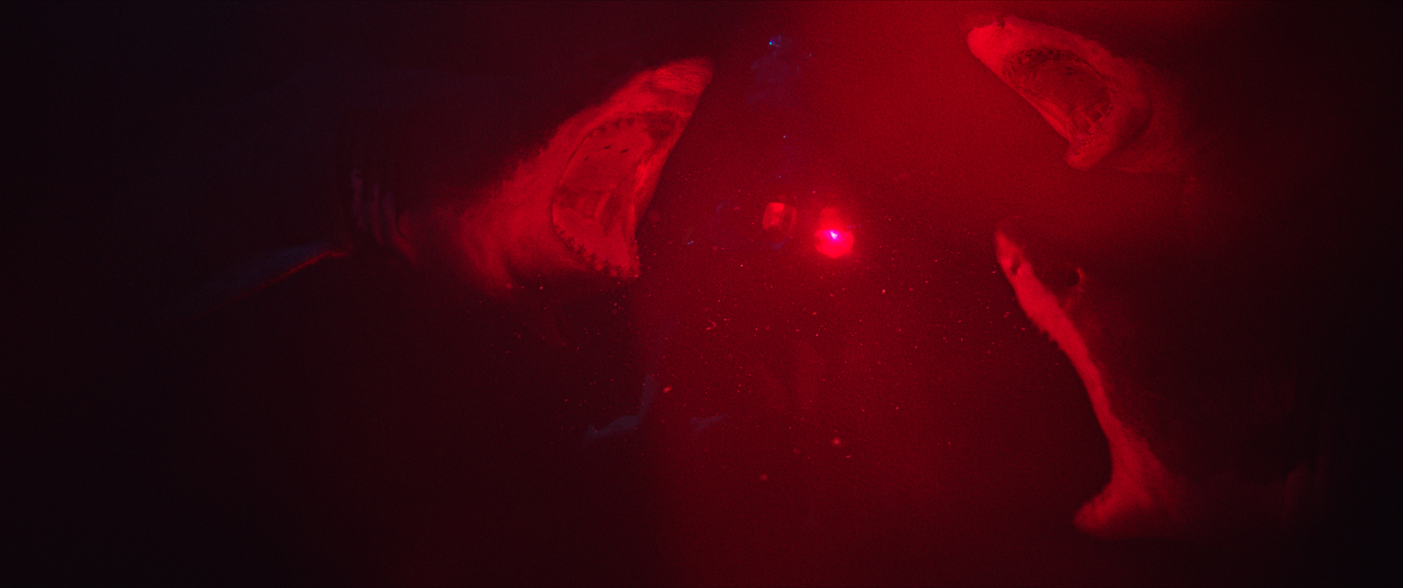47 Meters Down