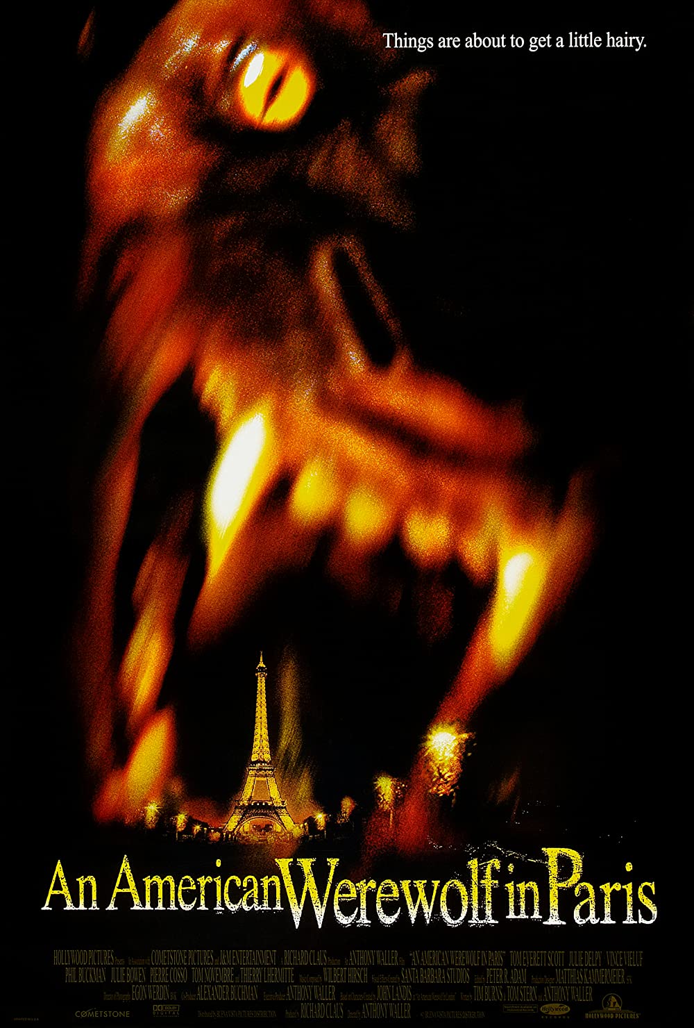 Filmbeschreibung zu American Werwolf in Paris