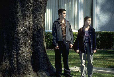 American Beauty