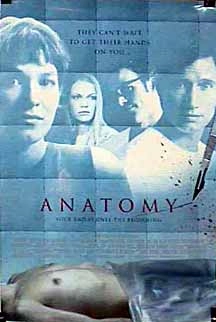 Anatomie