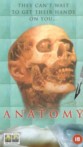 Anatomie