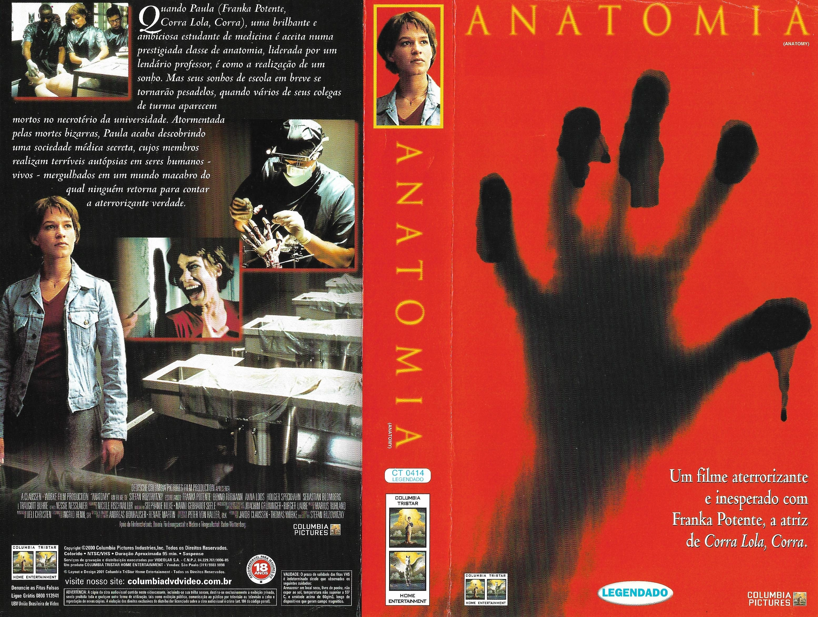 Anatomie