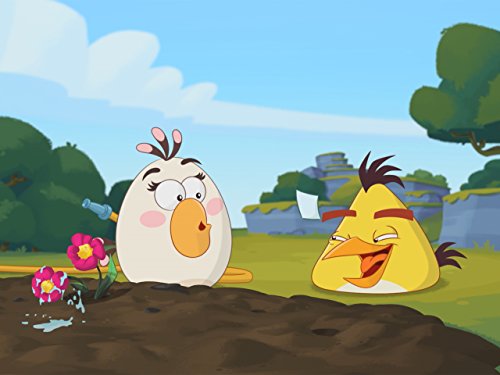 Angry Birds