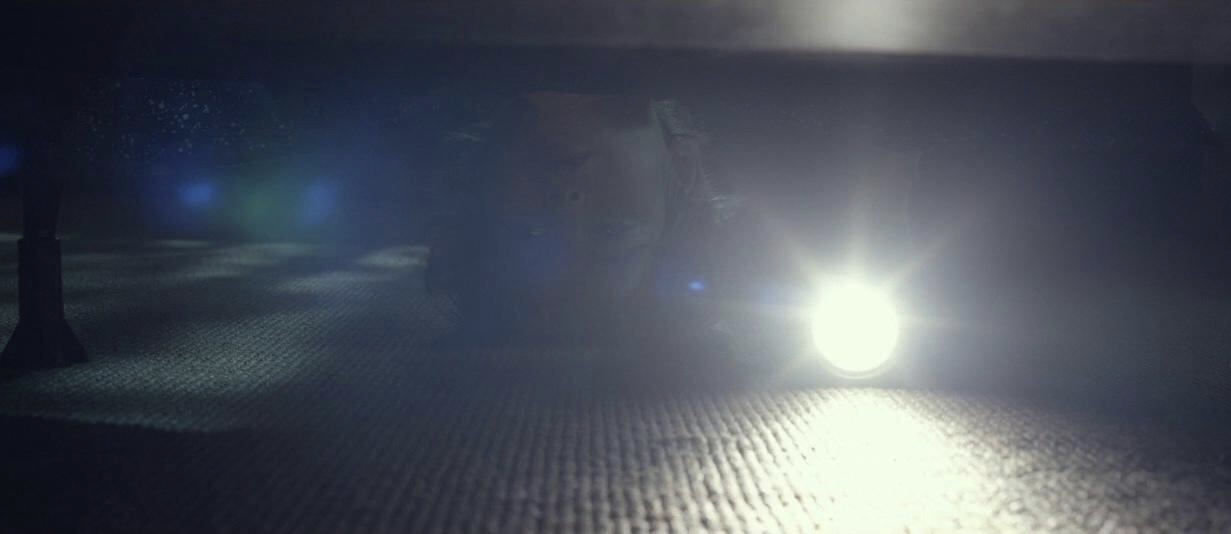 Before I Wake