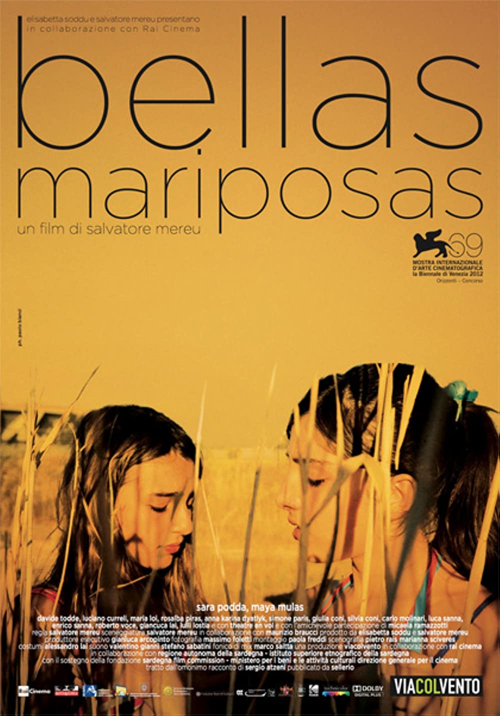 Bellas mariposas