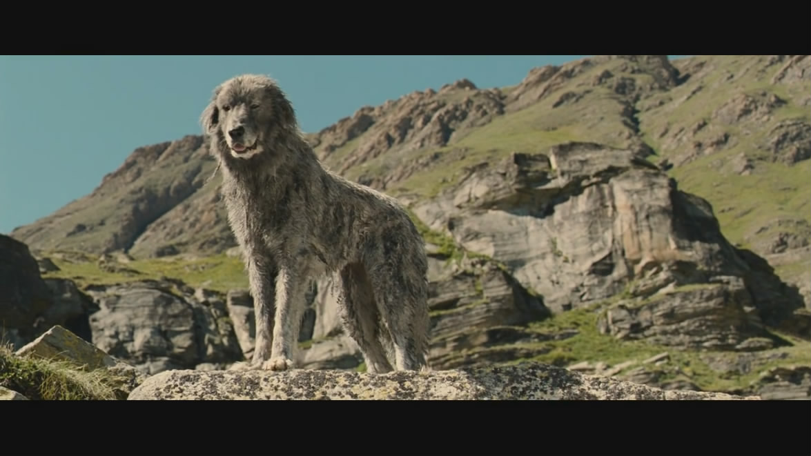 Belle & Sebastian