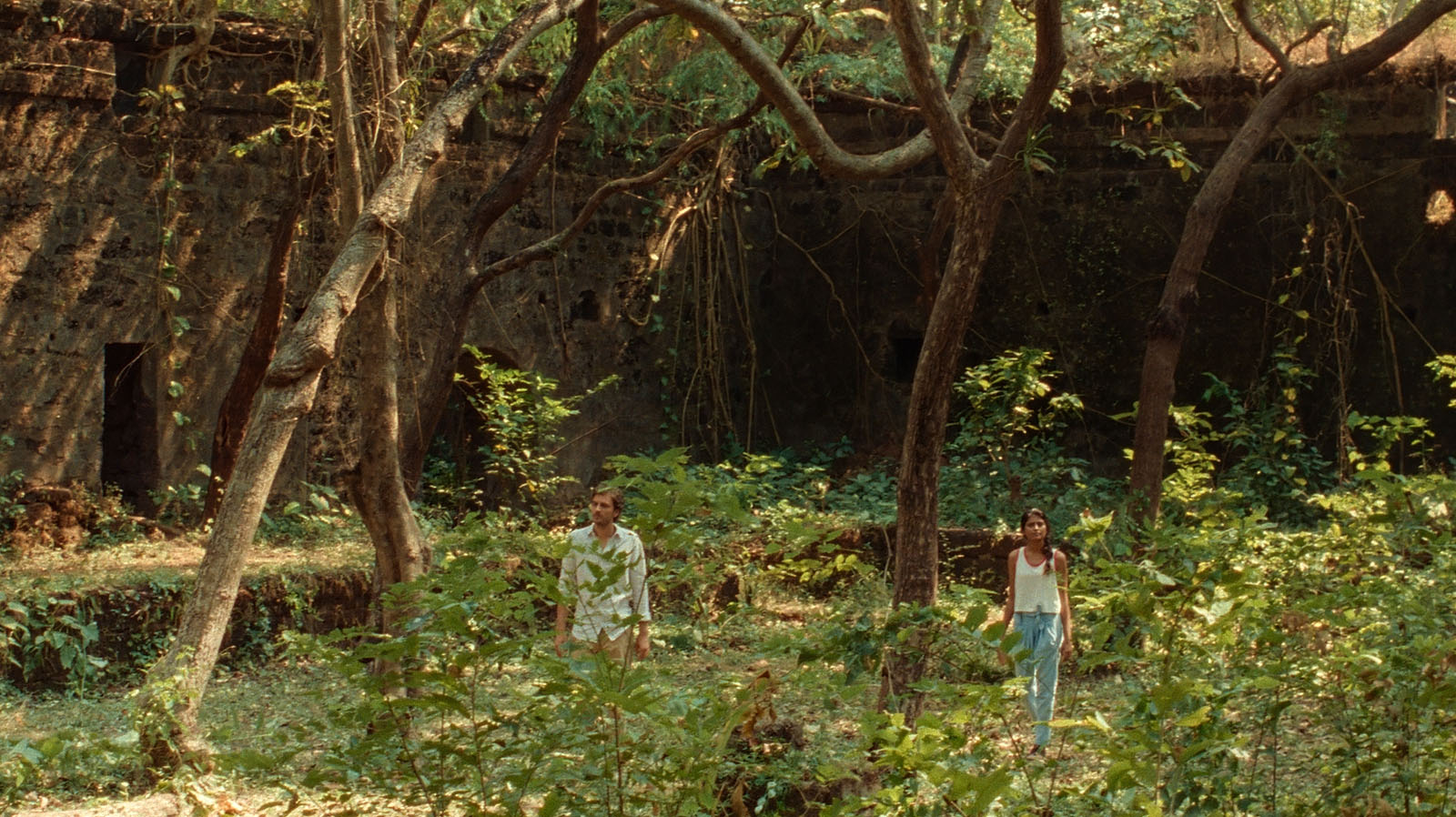 Bergman Island