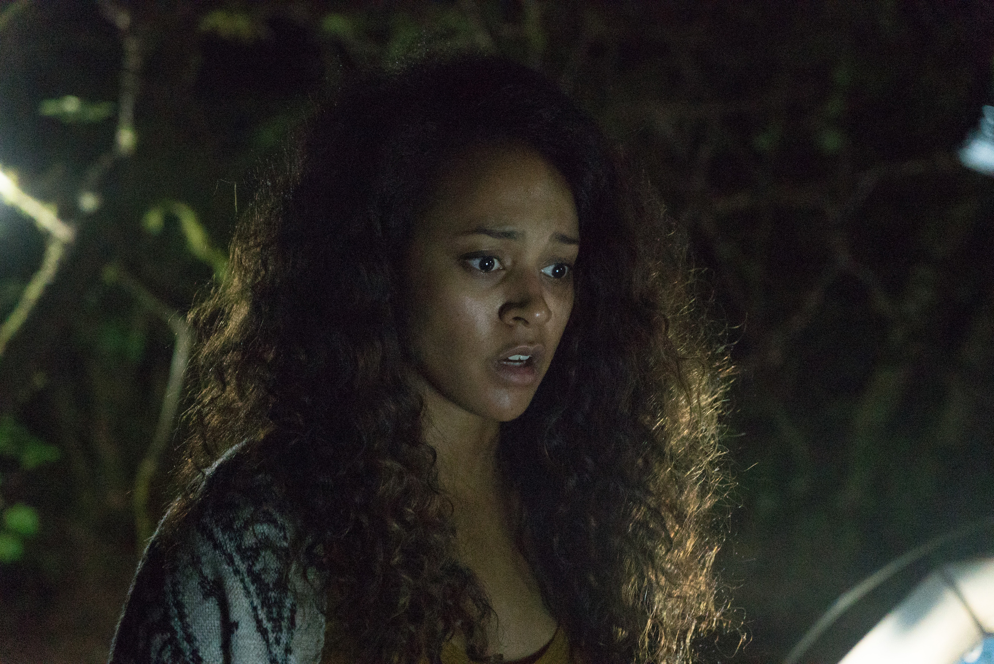 Blair Witch