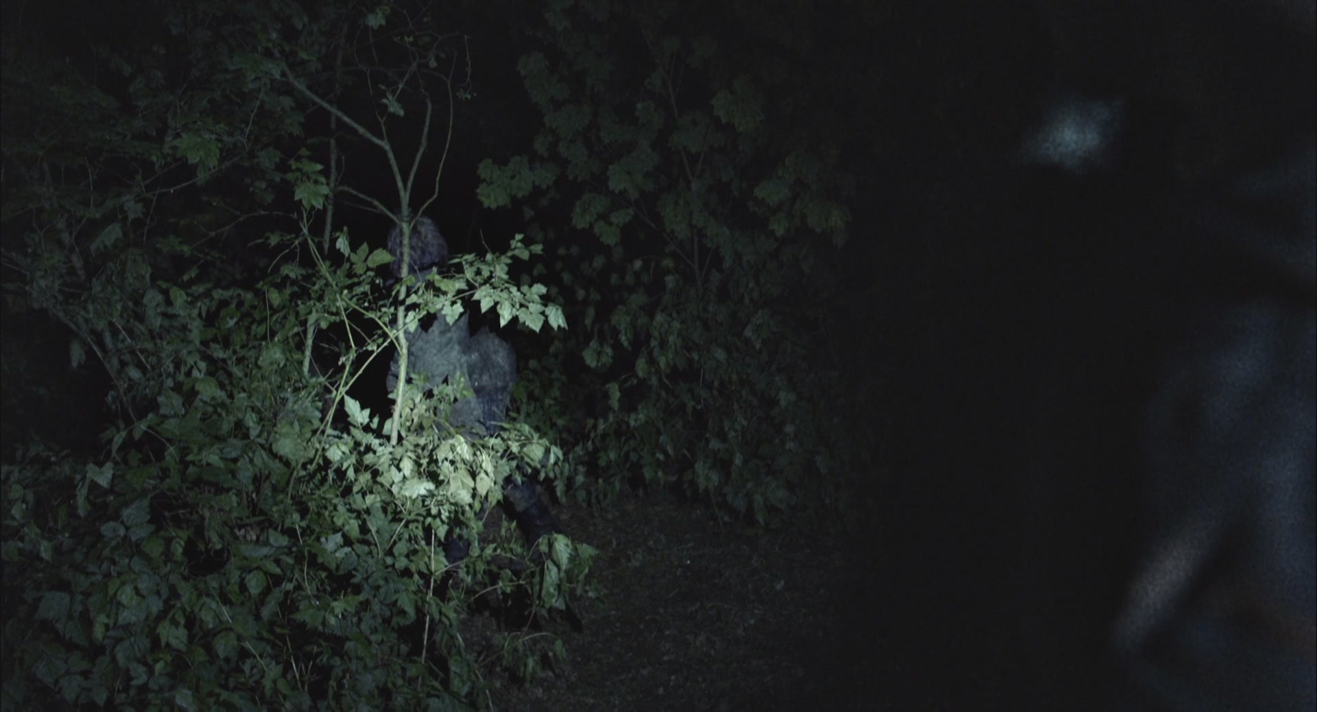 Blair Witch