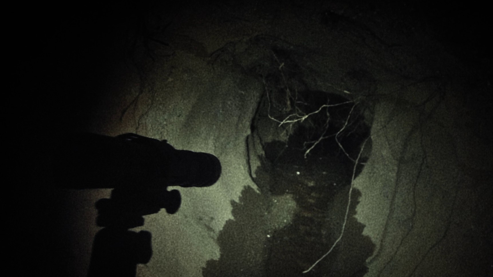 Blair Witch