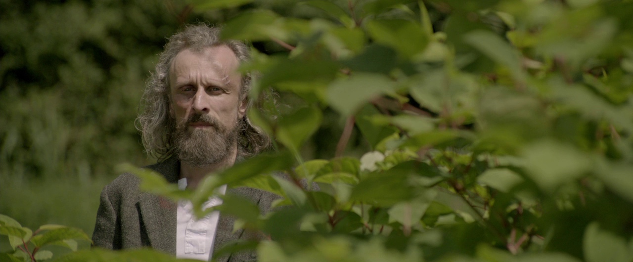 Borgman