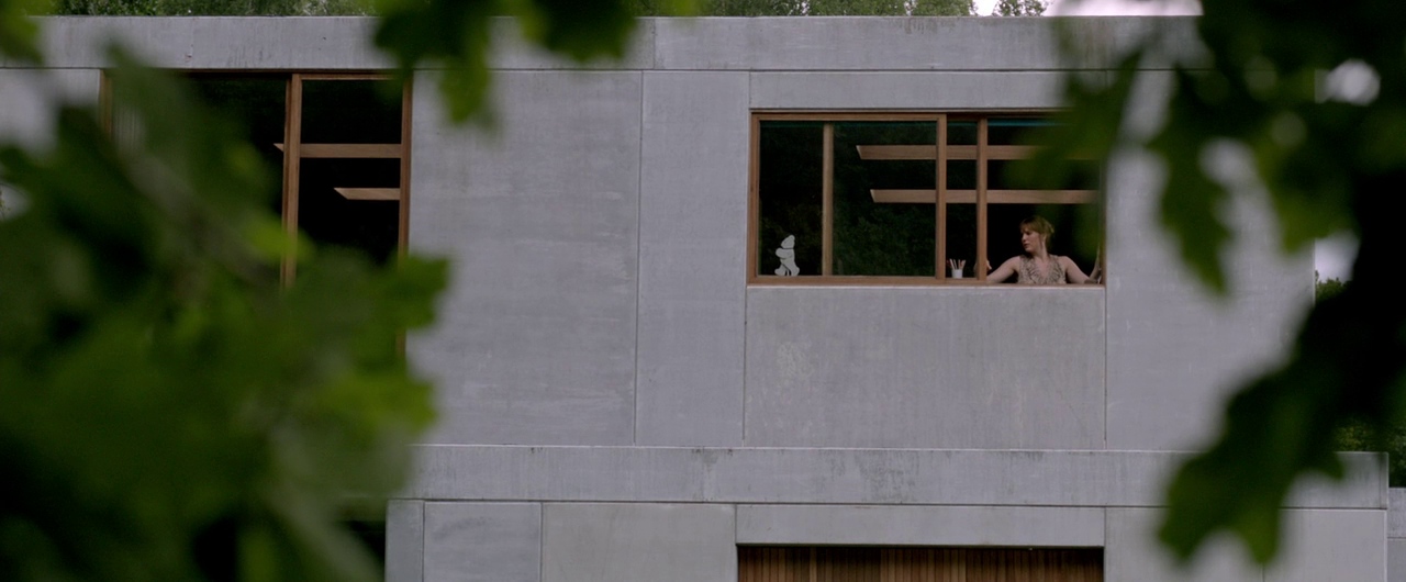 Borgman